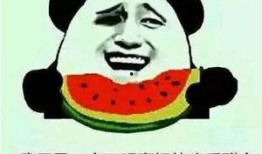 一个没有感情的吃瓜群众,揭秘娱乐圈幕后真相