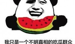 吃瓜群众 的网络用语是怎么来的,网络热词“吃瓜群众”的起源与流行解析