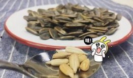 吃瓜群众的瓜是瓜子的瓜吗,揭秘“瓜”字的趣味内涵