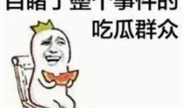 吃瓜群众三观不正怎么办,应对吃瓜群众不正心态的攻略