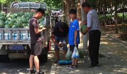 黄岭镇吃瓜群众事件真相,真相背后的社会现象