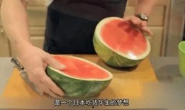 100个吃瓜群众图片,100位吃瓜群众的生动瞬间