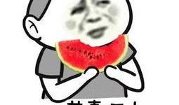 吃瓜群众钱挣的多少菜啊,揭秘吃瓜群众的经济生活