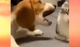 吃瓜群众隔壁包间