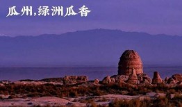 吃瓜群众岱岱专栏岱岱,揭秘吃瓜群众的趣味生活