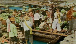 上海吃瓜群众故事,吃瓜群众的欢乐时光