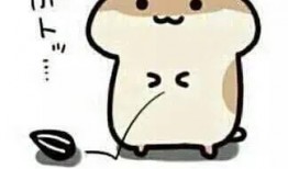 吃瓜群众特征,网络时代的“旁观者”众生相