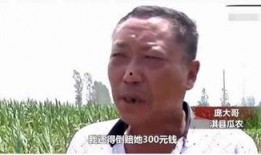 执法者和吃瓜群众的区别,两种视角下的社会现象解析