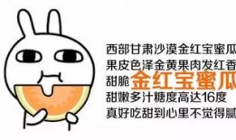 吃瓜群众都能唱什么歌,吃瓜群众必备歌曲大盘点