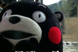 吃瓜群众回复什么好,揭秘网络热议背后的真相