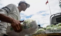 吃瓜群众梦想歌,吃瓜群众梦想之歌