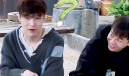 磕cp是不是吃瓜群众了