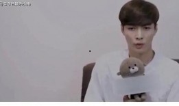 娱乐吃瓜群众张艺兴是谁,从娱乐吃瓜群众到全能艺人