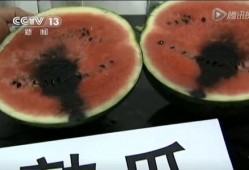 吃瓜群众吃东西视频