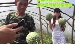 一线吃瓜群众直播回放