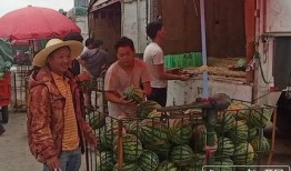 雄县吃瓜群众事迹简介