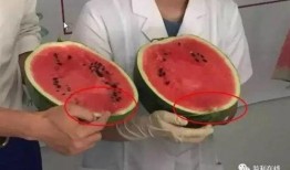 超甜的吃瓜群众是什么,揭秘网络热词背后的趣味与内涵