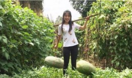 最近最大的吃瓜群众视频,最新吃瓜群众视频背后的惊人真相！