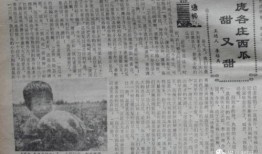 穿书吃瓜群众年代文合集,年代文合集里的穿书人生