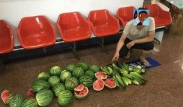 吃瓜群众偷瓜吃,吃瓜群众与瓜农的甜蜜较量