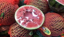 上海吃瓜群众故事,吃瓜群众的欢乐时光