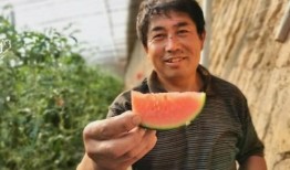 商河吃瓜群众事件,网络围观下的社会现象解析