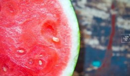 吃瓜群众4号9299,网络红人的崛起之路