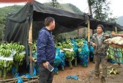 云南缅甸边境吃瓜群众外网,吃瓜群众视角下的跨境生活剪影