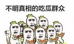 没话说吃瓜群众怎么办,巧妙沟通的艺术