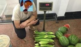 吃瓜群众偷瓜吃,吃瓜群众与瓜农的甜蜜较量