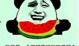 捂脸吃瓜群众怎么说话,揭秘网络围观者的独特语言风格