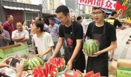 吃瓜在线播放朝阳群众,朝阳群众助力“吃瓜在线”火爆播放