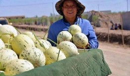 当代年轻人吃瓜群众,吃瓜群众的崛起与影响