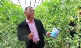 商河吃瓜群众事件,网络围观下的社会现象解析