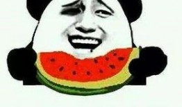 吃瓜群众当地人怎么说,揭秘“吃瓜群众”视角下的地方风情