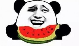 吃瓜群吃瓜群众狗,揭秘吃瓜群众的趣味生活与狗界奇闻