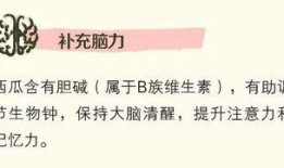 聪明吃瓜群众视频,短视频背后的趣味与智慧