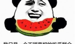 吃瓜群众的第2本书是啥,瓜田秘闻录