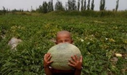 吃瓜群众岱岱是什么梗,网络热梗背后的故事与影响