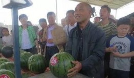 江浙沪吃瓜群众事件,揭秘网络事件背后的社会现象