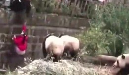 少女吃瓜群众,揭秘网络时代的青春热议