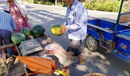 原油聚变吃瓜群众,揭秘吃瓜群众的能源新视角