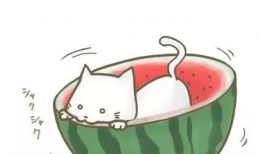 吃瓜群众的qq头像,揭秘吃瓜群众QQ头像背后的故事