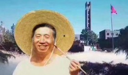 安靖吃瓜群众事件真相,真相背后的网络舆论风暴