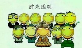 吃瓜群众来踢球,一场别开生面的足球盛宴