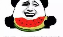 成为吃瓜群众小说,揭秘娱乐圈背后的真相与秘密