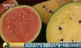 帝国吃瓜群众,揭秘宫廷风云背后的八卦故事