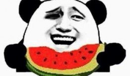 吃瓜群众要发言吗视频播放,视频播放背后的热议话题