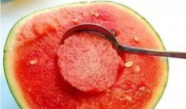 微博吃瓜群众A紫蛆,揭秘微博吃瓜群众A的神秘面纱