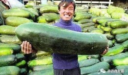 吃瓜群众一般般吧,一般般吧的生活点滴